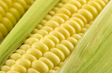 Agriculture, Bulk Foods and Biofuel