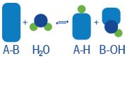 hidrolases