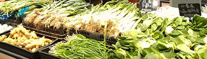 销售蔬果、肉禽蛋、水产等农产品和食品的固定场所