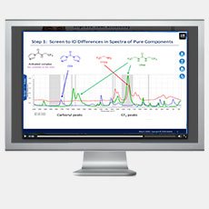 Process Development and Kinetic Understanding