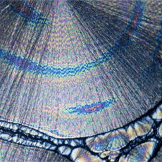 Polymer crystallization
