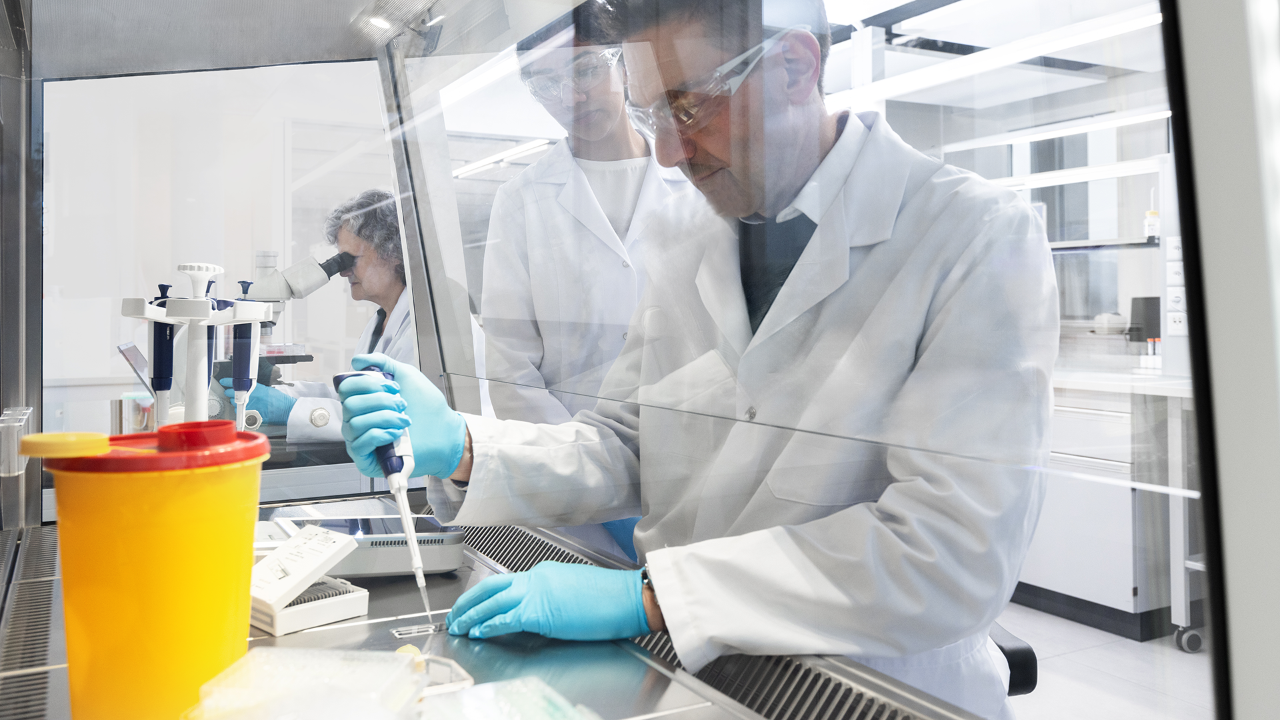 DHM and ML for cellular assays
