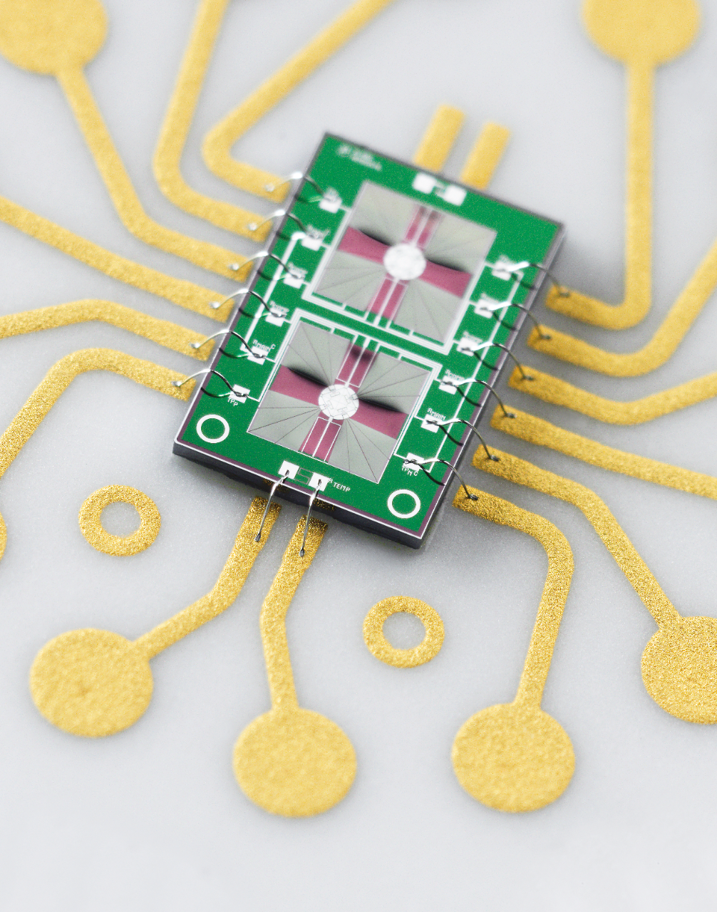 Flash DSC Ultra-Fast Scanning Chip Calorimetry