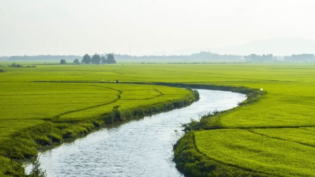 Anwendungen für die UV/VIS-Wasserprüfung Umweltwasserprüfung
