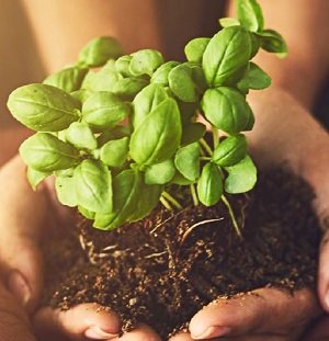 Sustainability in Process Analytics