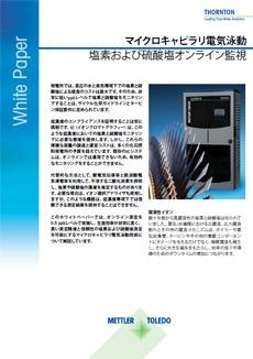 ホワイトペーパー： マイクロキャピラリー電気泳動によるオンライン塩素と硫酸塩モニタリング