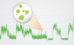 Online-Keimzahl-Analyzer 7000RMS für Wasser
