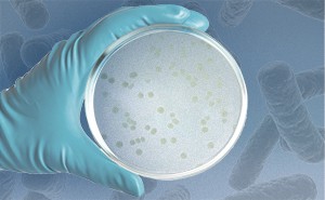 Online-Keimzahl-Analyzer 7000RMS für Wasser
