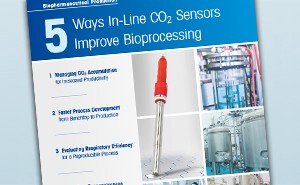 CO2-sensor | Kuldioxidprobe