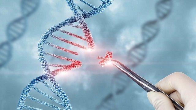synthetic biology synthetic biology