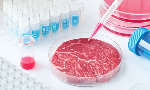 培养肉