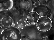 Liquid-Liquid Dispersions