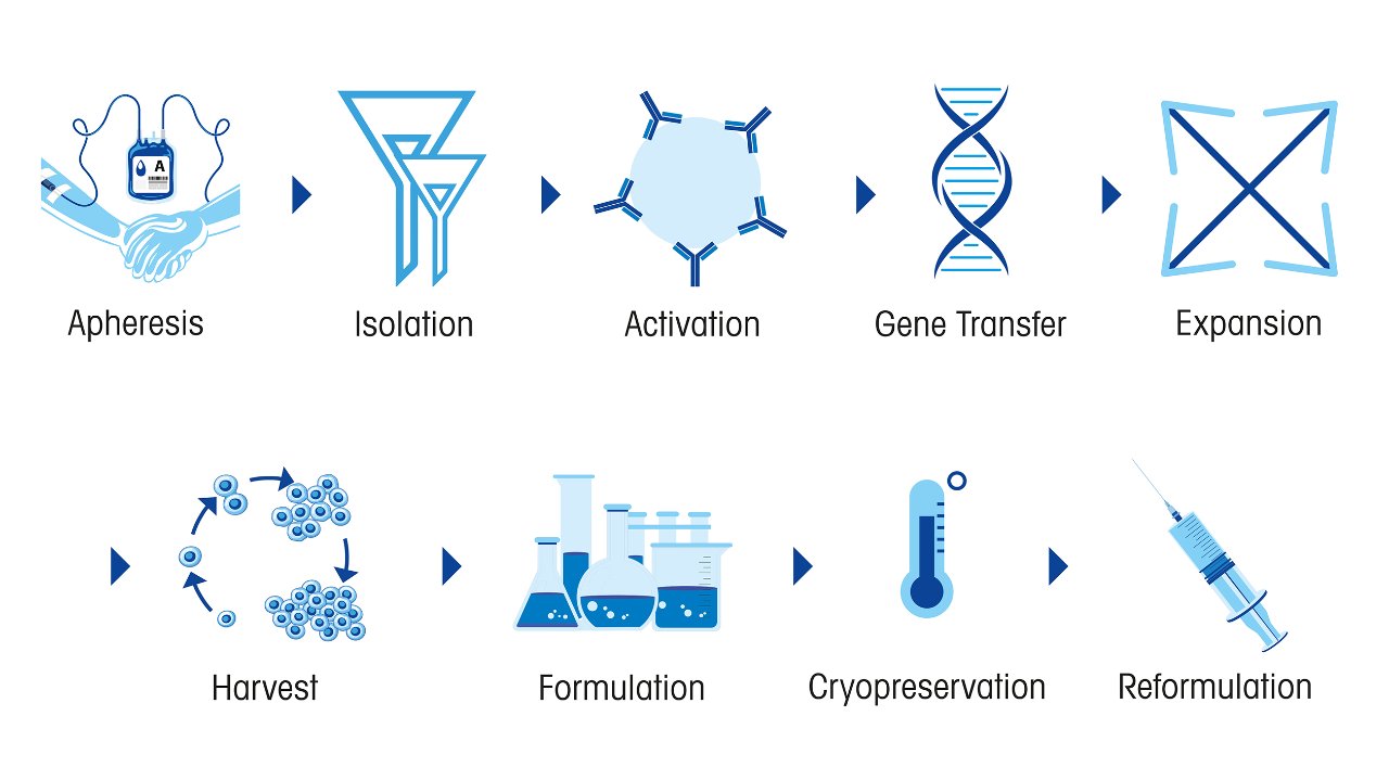 cell therapy workflow cell therapy workflow