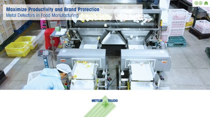 Metal Detection Product Effect eGuide | Download 