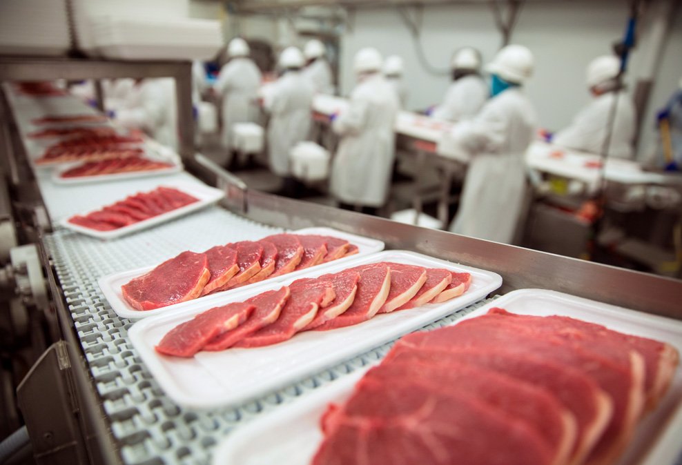 Foreign Object Detection in Meat Processing