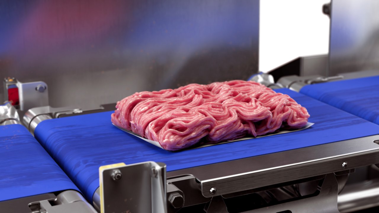 Checkweighers for meat, poultry, seafood Checkweighers for meat, poultry, seafood