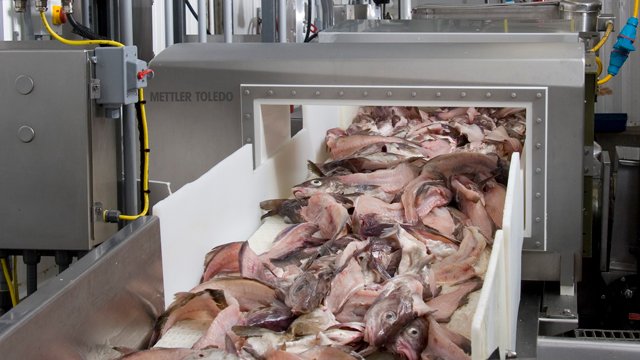 Fremdkörpererkennung für Heimtiernahrungsprodukte
