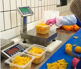 Manual or Automatic Checkweighing scales