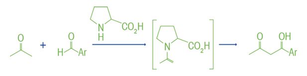 Examples of Organic Catalysts