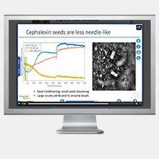 Reaktive Kristallisation von Beta-Lactam-Antibiotika
