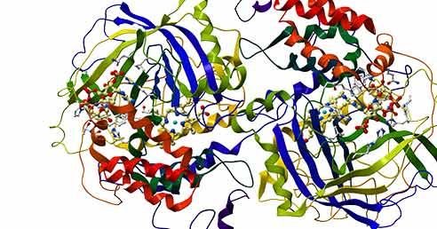 ¿Qué es la biocatálisis?