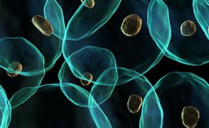 Fermentation et biotraitement - suivi et optimisation des bioprocédés en temps réel