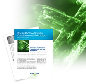 Crystallization Precipitation In Situ Vision White Paper