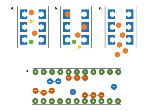 Capture in Downstream Processing
