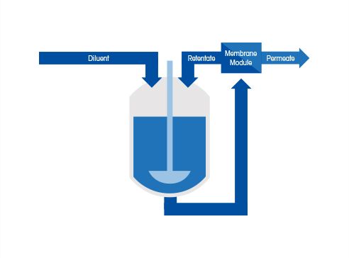 Buffer Exchange and Up-Concentration