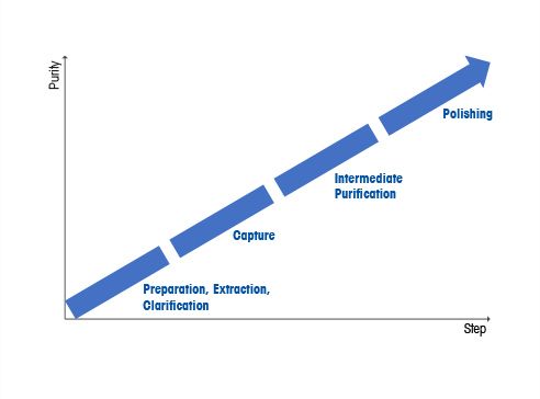 Purification in Downstream Processing